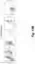 Fig. 60 - Tagged chimeric effector molecules and receptors thereof