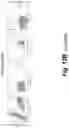 Fig. 62 - Tagged chimeric effector molecules and receptors thereof