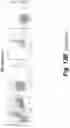 Fig. 63 - Tagged chimeric effector molecules and receptors thereof