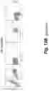 Fig. 66 - Tagged chimeric effector molecules and receptors thereof