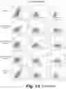 Fig. 71 - Tagged chimeric effector molecules and receptors thereof