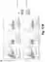 Fig. 74 - Tagged chimeric effector molecules and receptors thereof
