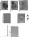 Fig. 80 - Tagged chimeric effector molecules and receptors thereof