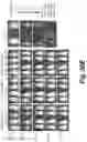 Fig. 95 - Tagged chimeric effector molecules and receptors thereof