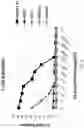 Fig. 06 - BISPECIFIC ANTIBODIES AND USES THEREOF