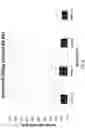 Fig. 10 - BISPECIFIC ANTIBODIES AND USES THEREOF
