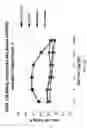 Fig. 21 - BISPECIFIC ANTIBODIES AND USES THEREOF