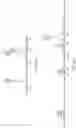 Fig. 26 - BISPECIFIC ANTIBODIES AND USES THEREOF