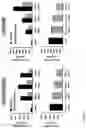 Fig. 03 - SMALL SHEDDING BLOCKING AGENTS