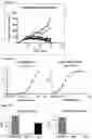Fig. 18 - SMALL SHEDDING BLOCKING AGENTS