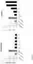 Fig. 27 - SMALL SHEDDING BLOCKING AGENTS