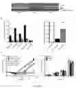 Fig. 06 - Methods of sensitizing cancer to immunotherapy