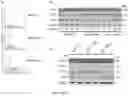 Fig. 11 - Methods of sensitizing cancer to immunotherapy
