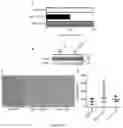 Fig. 12 - Methods of sensitizing cancer to immunotherapy