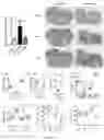Fig. 13 - Methods of sensitizing cancer to immunotherapy