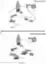 Fig. 14 - Methods of sensitizing cancer to immunotherapy