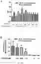 Fig. 16 - Methods of sensitizing cancer to immunotherapy