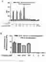 Fig. 17 - Methods of sensitizing cancer to immunotherapy
