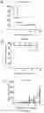 Fig. 18 - Methods of sensitizing cancer to immunotherapy