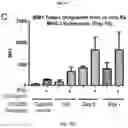 Fig. 20 - Methods of sensitizing cancer to immunotherapy