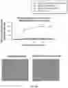 Fig. 11 - METHODS OF DEPLETING DISEASE CAUSING AGENTS VIA ANTIBODY TARGETED PHAGOCYTOSIS