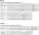 Fig. 02 - MONOCLONAL ANTIBODIES AGAINST HER2