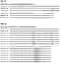 Fig. 06 - MONOCLONAL ANTIBODIES AGAINST HER2