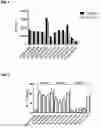 Fig. 12 - MONOCLONAL ANTIBODIES AGAINST HER2