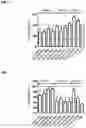 Fig. 13 - MONOCLONAL ANTIBODIES AGAINST HER2