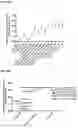 Fig. 18 - MONOCLONAL ANTIBODIES AGAINST HER2
