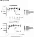 Fig. 21 - MONOCLONAL ANTIBODIES AGAINST HER2