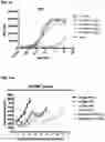 Fig. 23 - MONOCLONAL ANTIBODIES AGAINST HER2