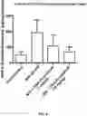 Fig. 05 - NGF Antagonists for Medical Use