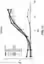 Fig. 17 - Methods of Engineering Surface Charge for Bispecific Antibody Production