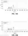 Fig. 39 - Methods of Engineering Surface Charge for Bispecific Antibody Production