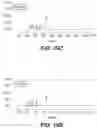 Fig. 40 - Methods of Engineering Surface Charge for Bispecific Antibody Production