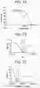 Fig. 13 - Anti-Jagged1 antigen binding proteins
