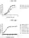 Fig. 14 - Anti-Jagged1 antigen binding proteins