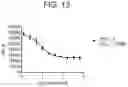 Fig. 17 - Anti-Jagged1 antigen binding proteins