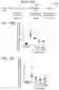 Fig. 29 - Anti-Jagged1 antigen binding proteins