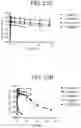 Fig. 33 - Anti-Jagged1 antigen binding proteins