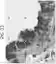 Fig. 35 - Anti-Jagged1 antigen binding proteins