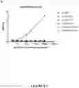 Fig. 13 - ANTI-HER2 BINDING MOLECULES