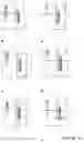 Fig. 23 - ANTI-HER2 BINDING MOLECULES