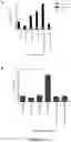 Fig. 38 - ANTI-HER2 BINDING MOLECULES