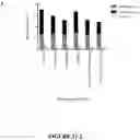 Fig. 39 - ANTI-HER2 BINDING MOLECULES