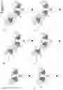 Fig. 02 - BISPECIFIC T CELL ACTIVATING ANTIGEN BINDING MOLECULES
