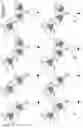 Fig. 03 - BISPECIFIC T CELL ACTIVATING ANTIGEN BINDING MOLECULES