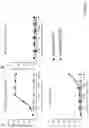 Fig. 11 - BISPECIFIC T CELL ACTIVATING ANTIGEN BINDING MOLECULES