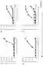 Fig. 12 - BISPECIFIC T CELL ACTIVATING ANTIGEN BINDING MOLECULES